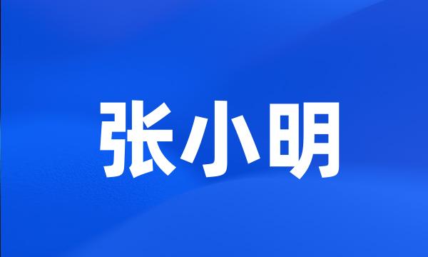 张小明