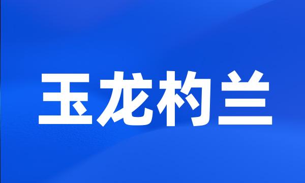 玉龙杓兰