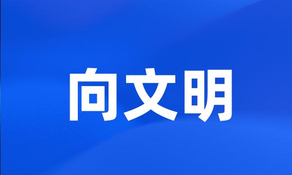 向文明