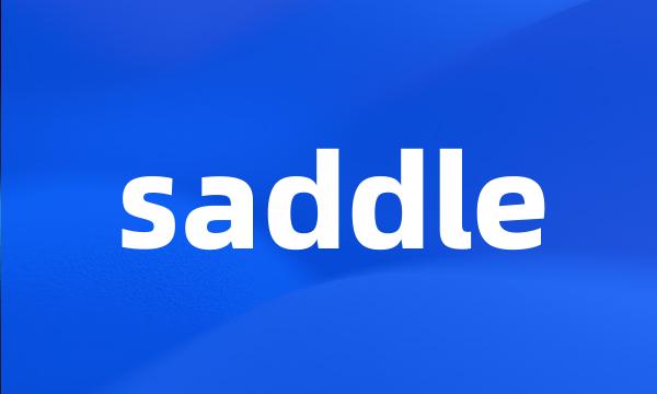 saddle