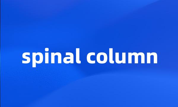 spinal column