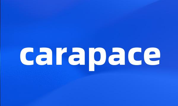 carapace