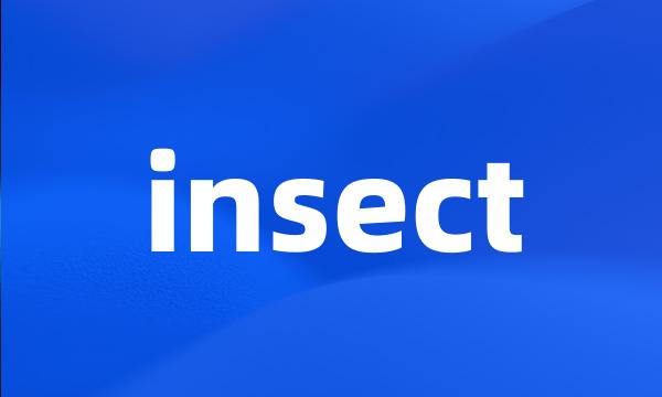 insect