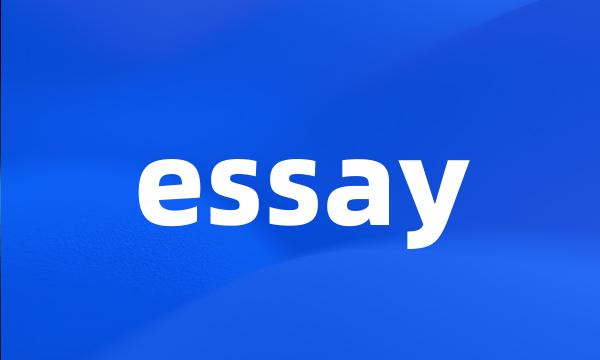 essay