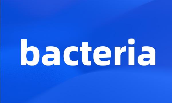 bacteria