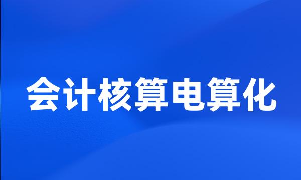 会计核算电算化