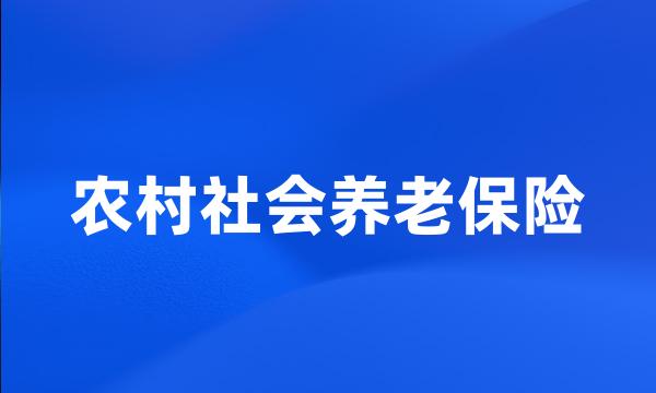 农村社会养老保险