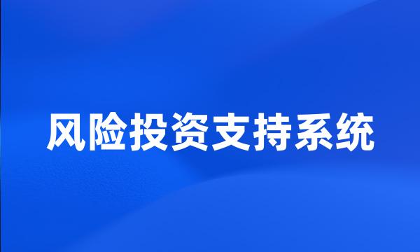 风险投资支持系统