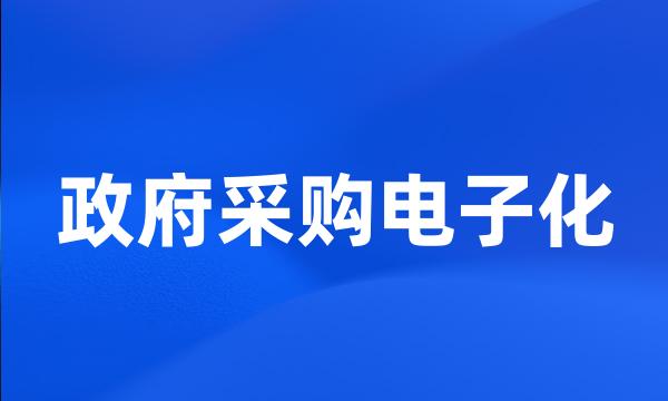 政府采购电子化