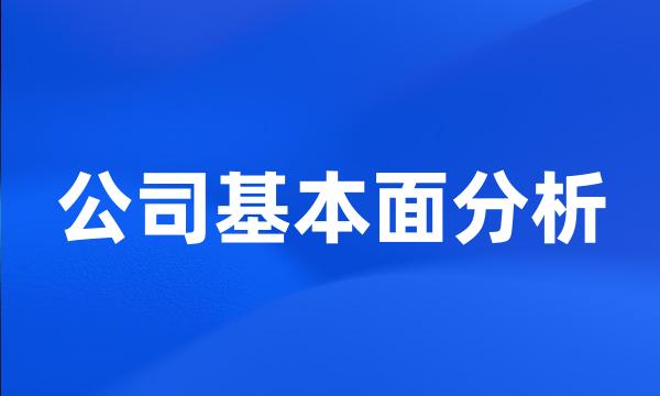 公司基本面分析