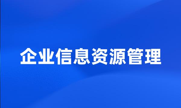 企业信息资源管理