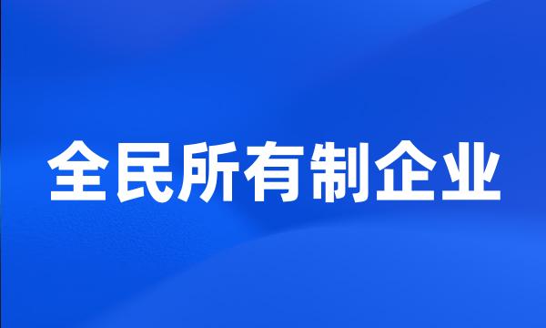 全民所有制企业