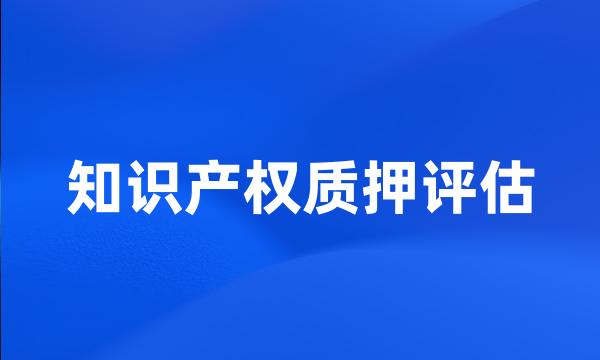 知识产权质押评估