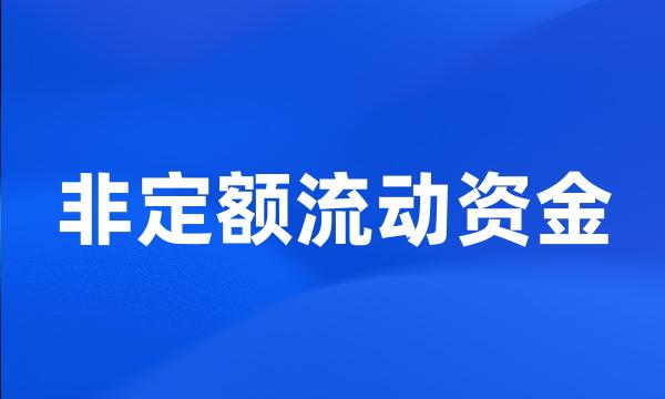 非定额流动资金