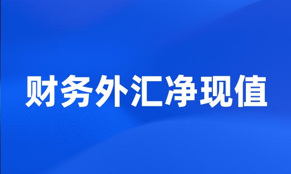 财务外汇净现值