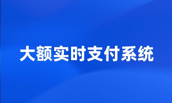 大额实时支付系统