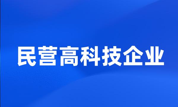 民营高科技企业