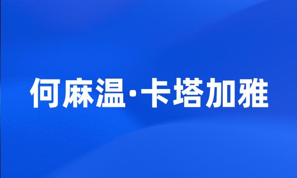 何麻温·卡塔加雅