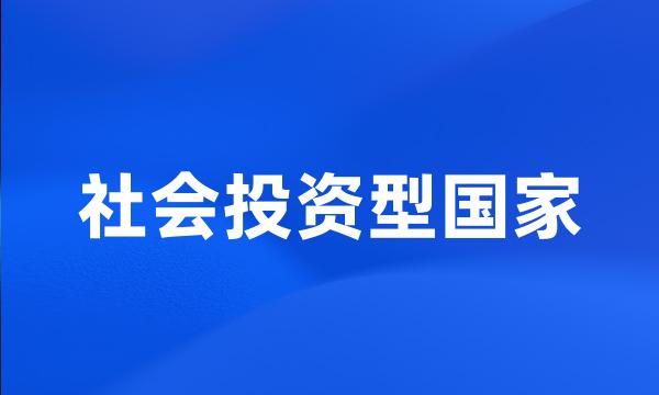 社会投资型国家