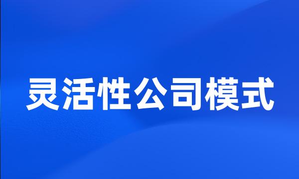 灵活性公司模式