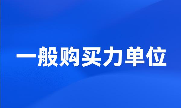 一般购买力单位