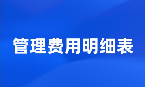 管理费用明细表