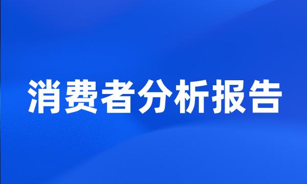 消费者分析报告