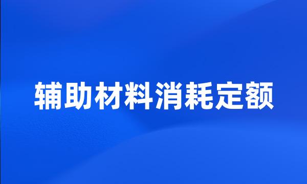 辅助材料消耗定额