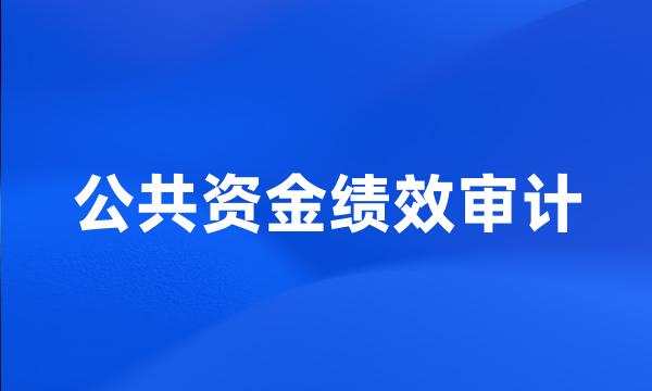 公共资金绩效审计