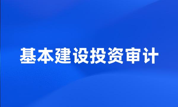 基本建设投资审计