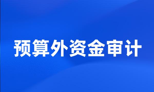 预算外资金审计