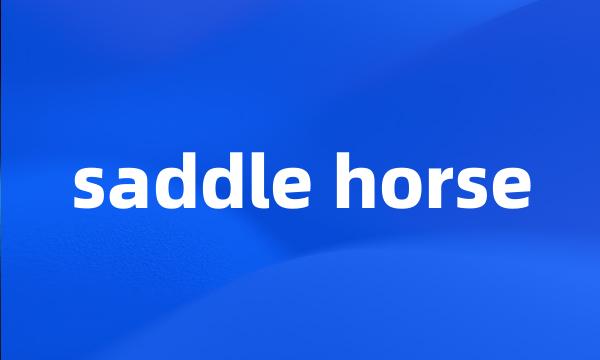 saddle horse