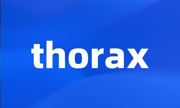 thorax