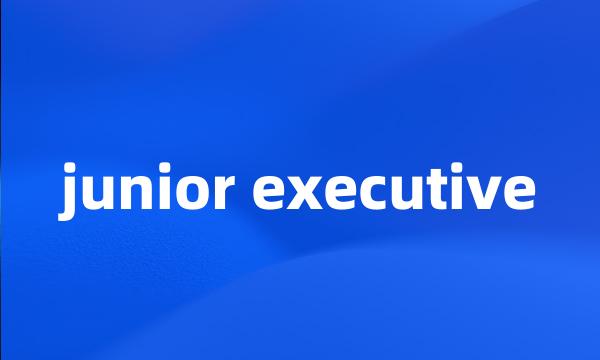 junior executive