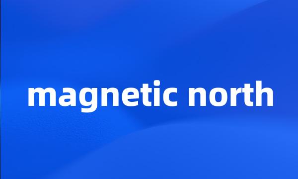 magnetic north