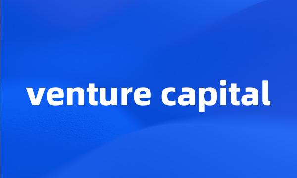 venture capital