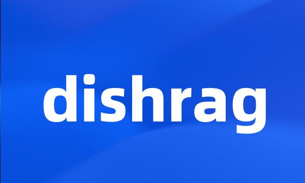 dishrag