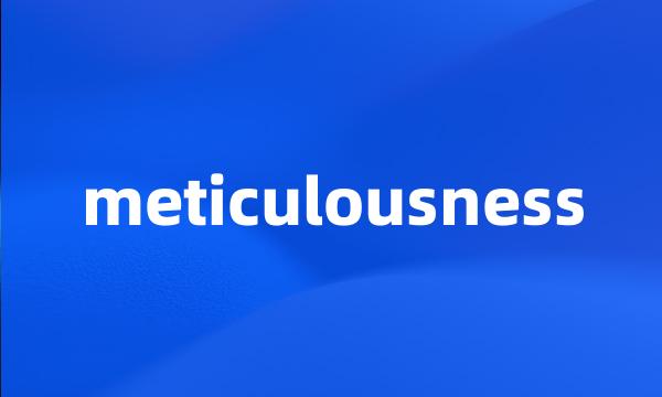 meticulousness