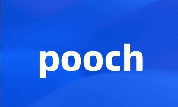 pooch