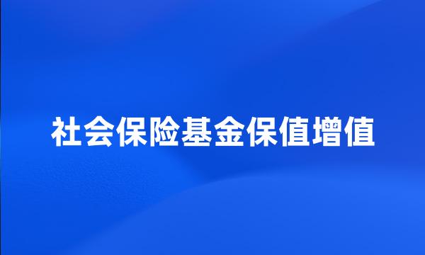 社会保险基金保值增值