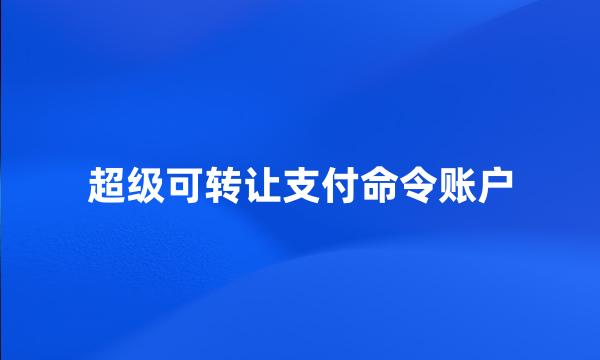 超级可转让支付命令账户