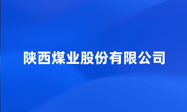 陕西煤业股份有限公司