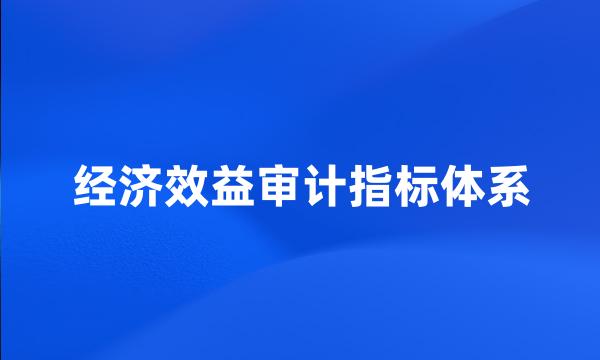 经济效益审计指标体系