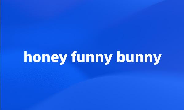 honey funny bunny