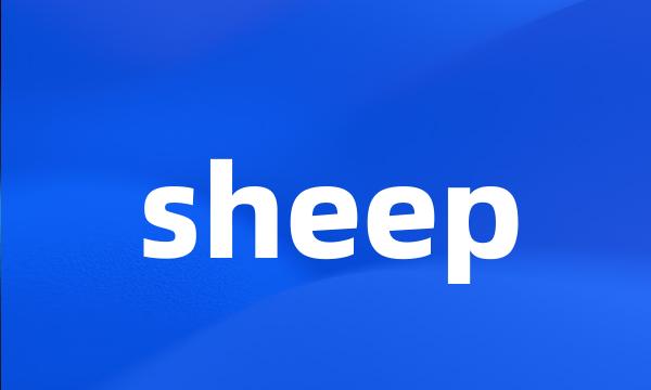 sheep