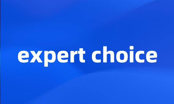 expert choice