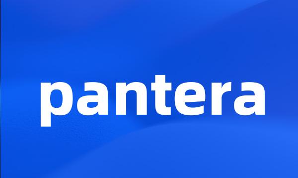 pantera