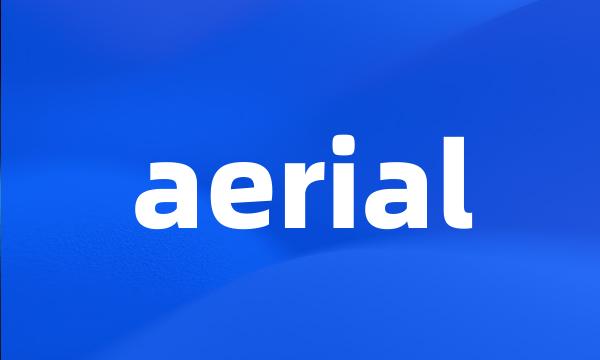 aerial