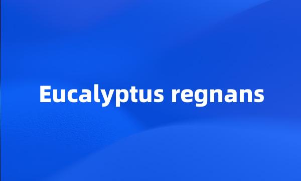 Eucalyptus regnans