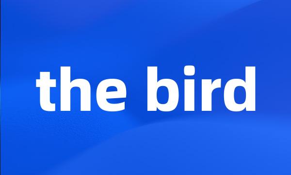 the bird